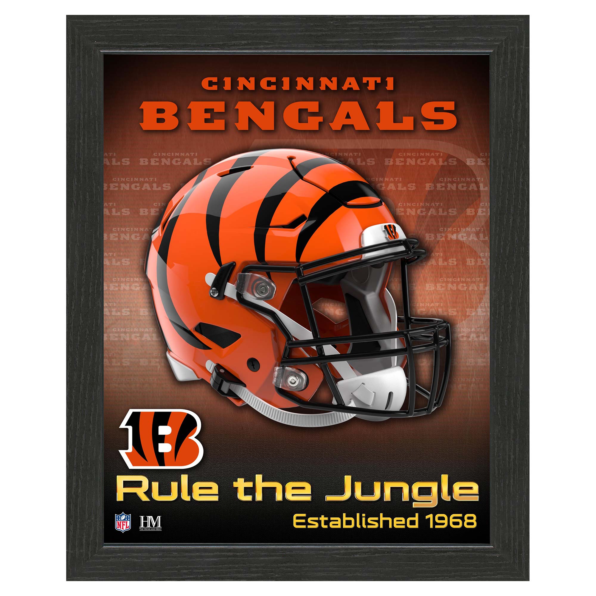 Cincinnati Bengals NFL Team Helmet Gerahmtes Bild