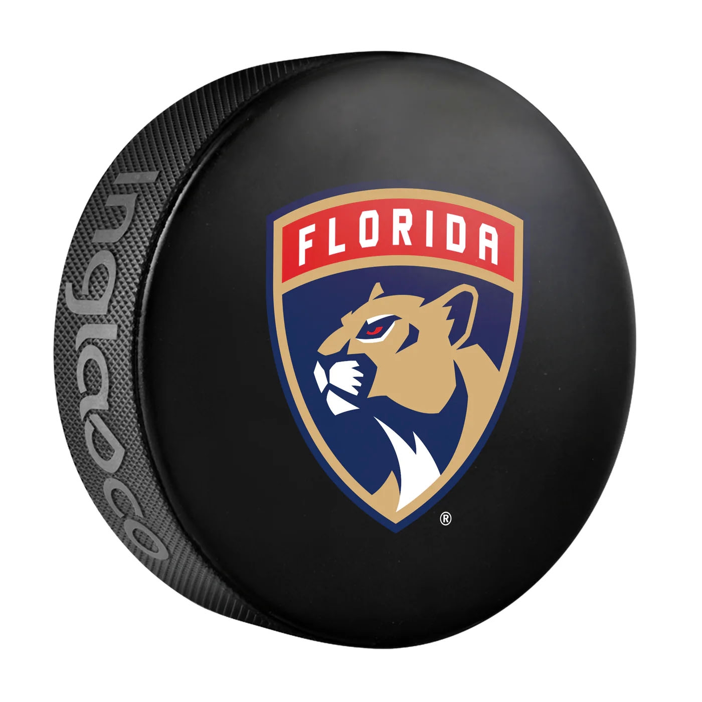 Florida Panthers Logo Souvenir Collector NHL Puck