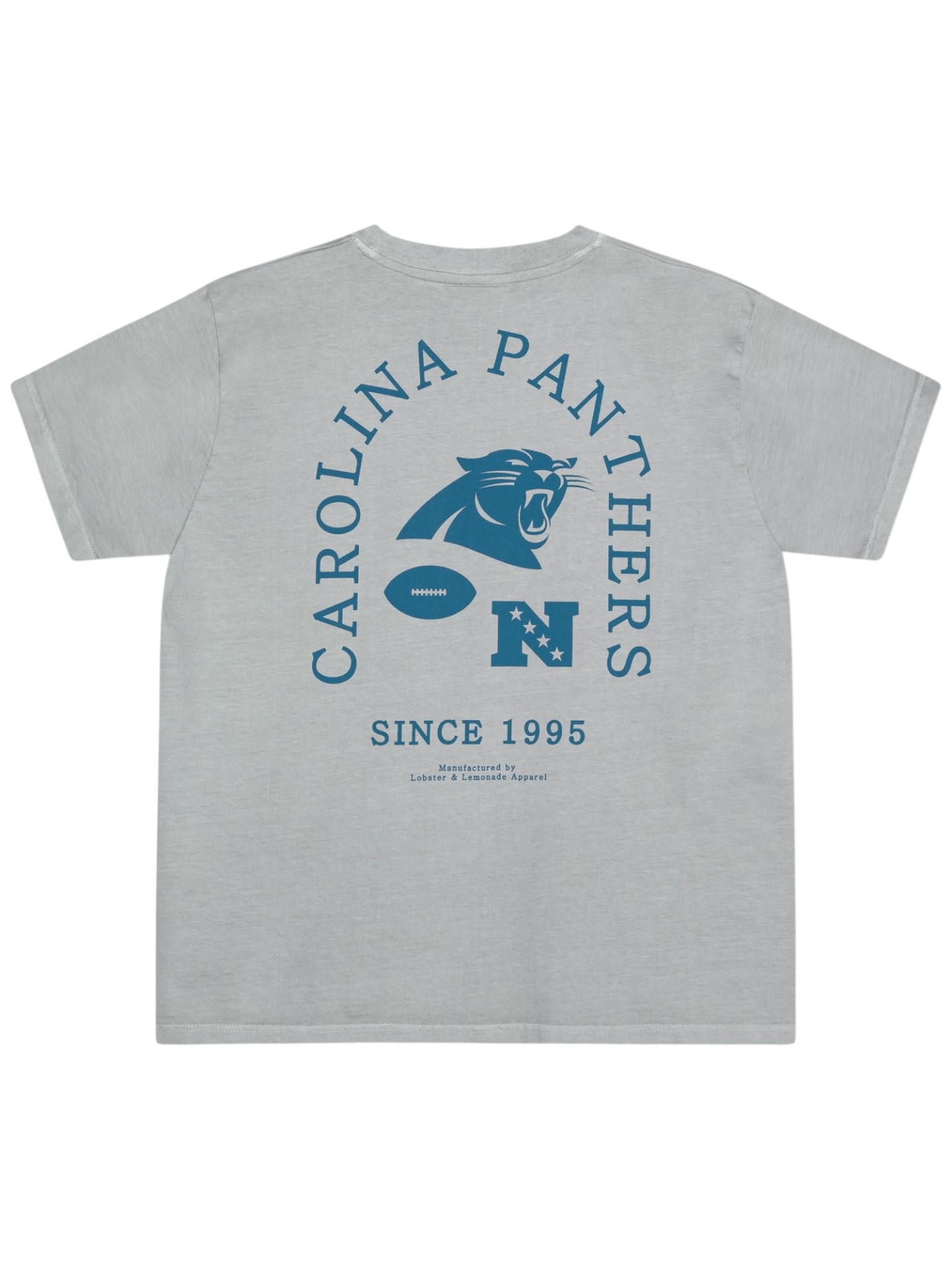 Carolina Panthers L&L '89 Classics NFL T-Shirt Grau
