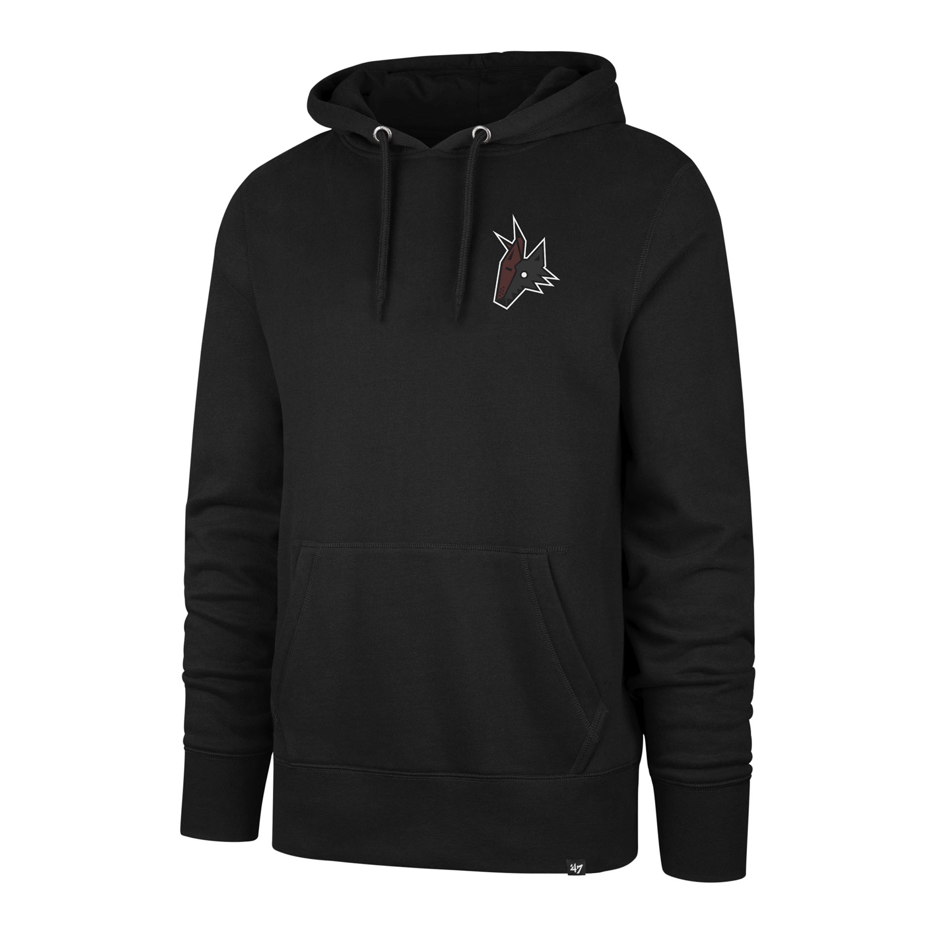 Arizona Coyotes Tonal Backer Burnside NHL Hoodie Black