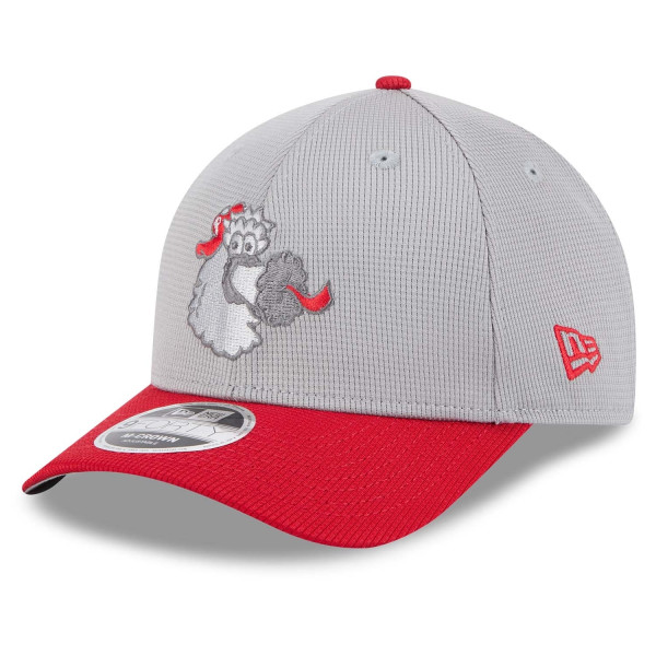 Philadelphia Phillies Colorway 2025 MLB Batting Practice 9FORTY M-Crown Snapback Cap Gray