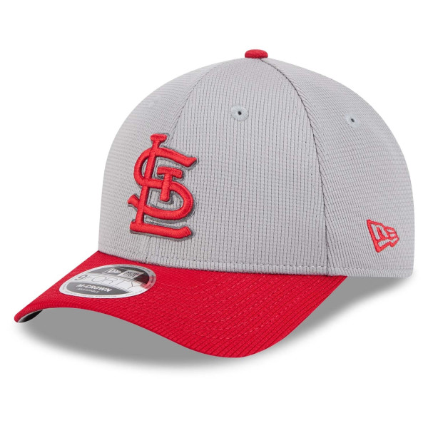 St. Louis Cardinals Colorway 2025 MLB Batting Practice 9FORTY M-Crown Snapback Cap Gray