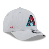 Arizona Diamondbacks 2025 MLB Clubhouse 9FORTY M-Crown Snapback Cap Gray