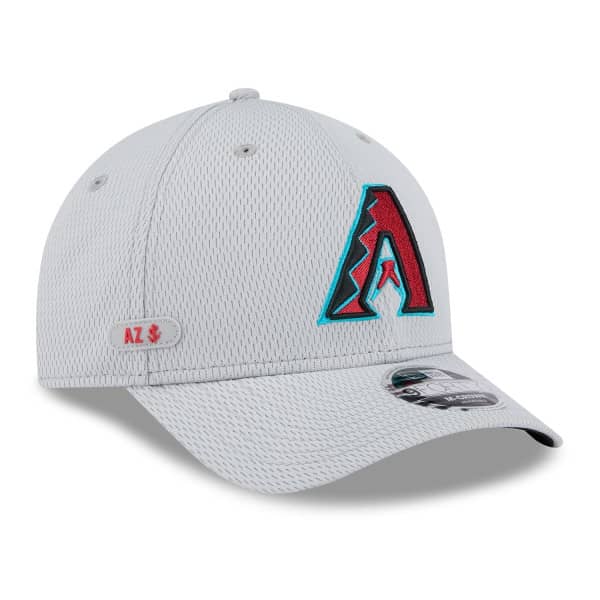 Arizona Diamondbacks 2025 MLB Clubhouse 9FORTY M-Crown Snapback Cap Gray