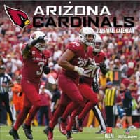 Arizona Cardinals 2025 Team NFL Wall Calendar