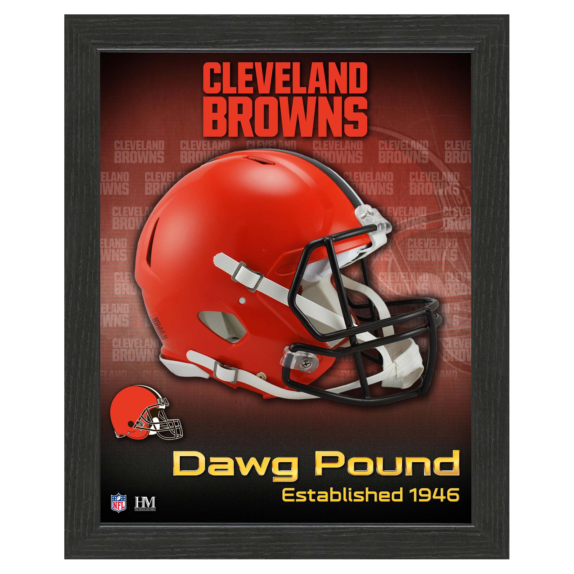 Cleveland Browns NFL Team Helmet Gerahmtes Bild
