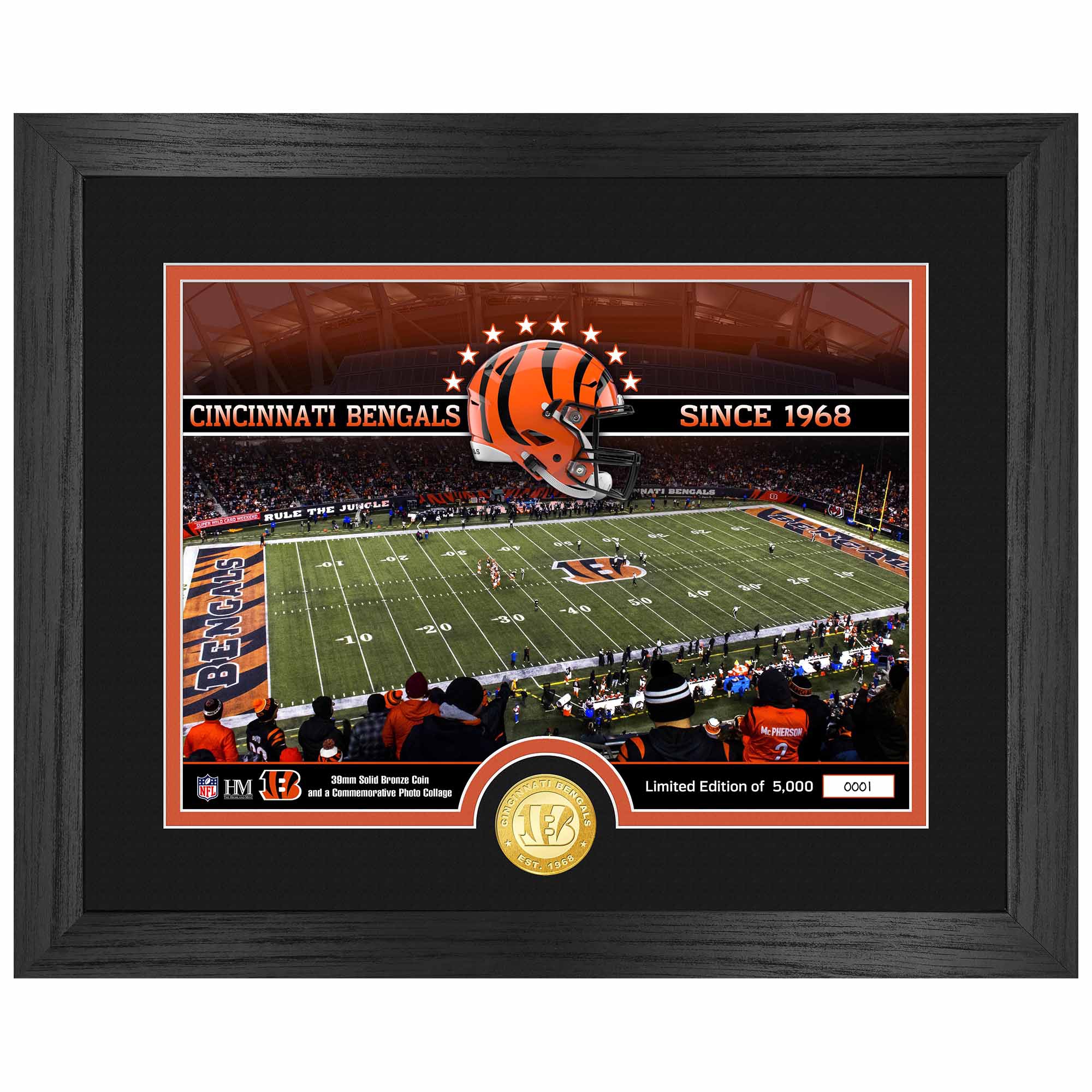 Cincinnati Bengals Team Stadium Bronze Coin Gerahmtes NFL Bild