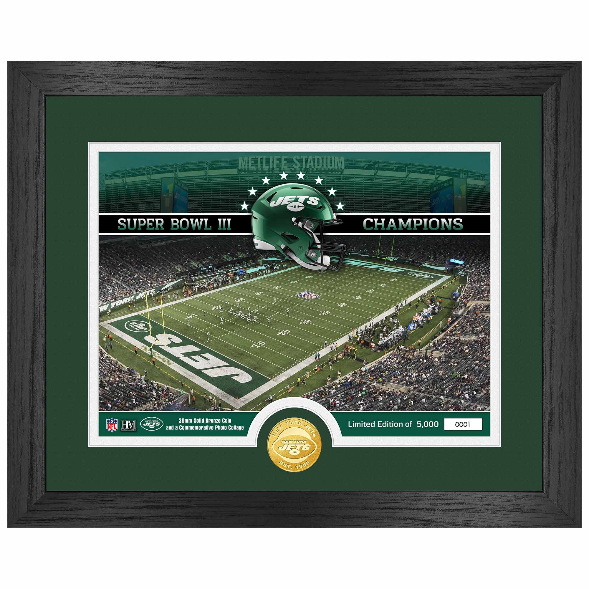 New York Jets Team Stadium Bronze Coin Gerahmtes NFL Bild