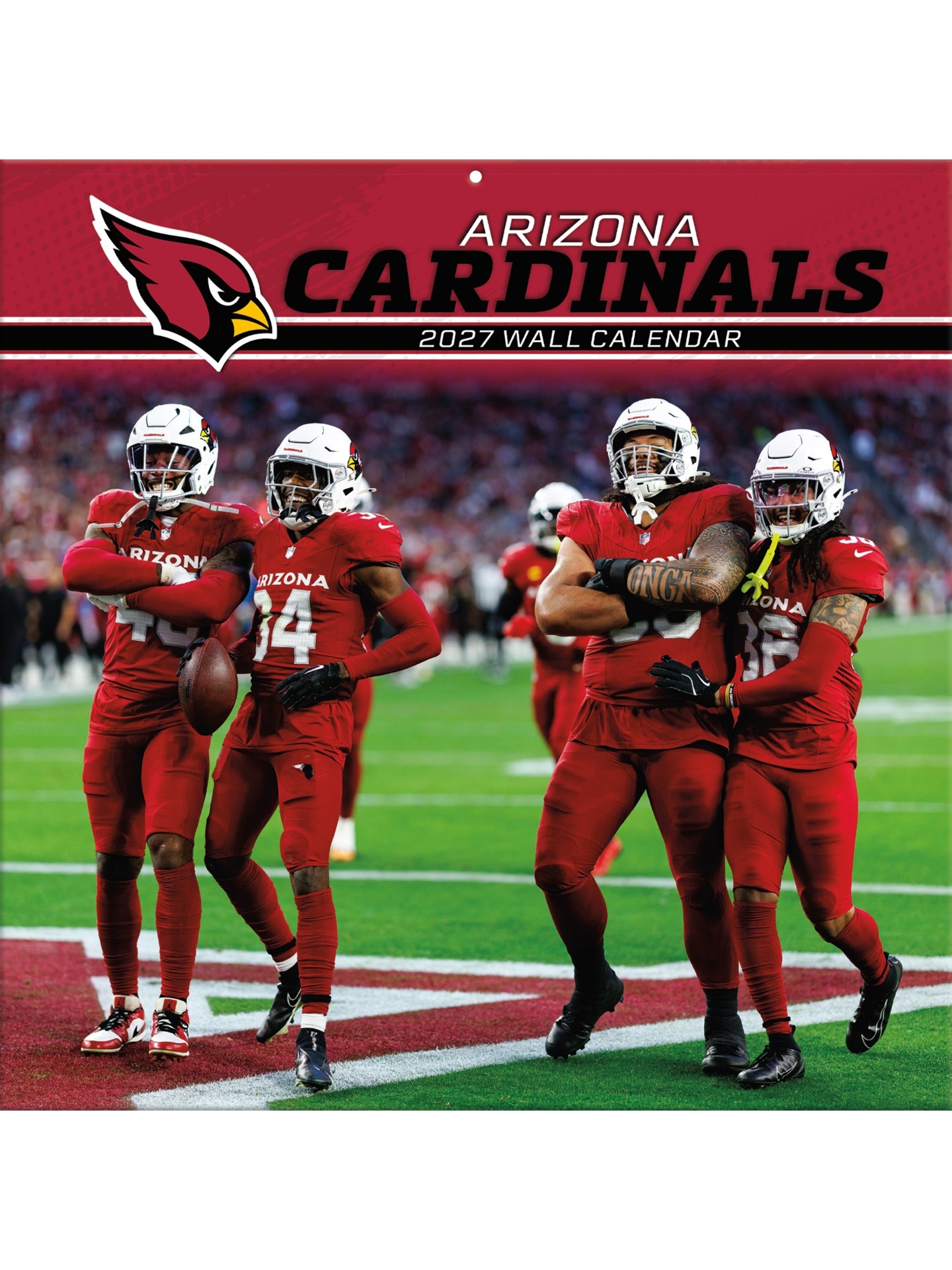 Arizona Cardinals 2027 NFL Team Wandkalender