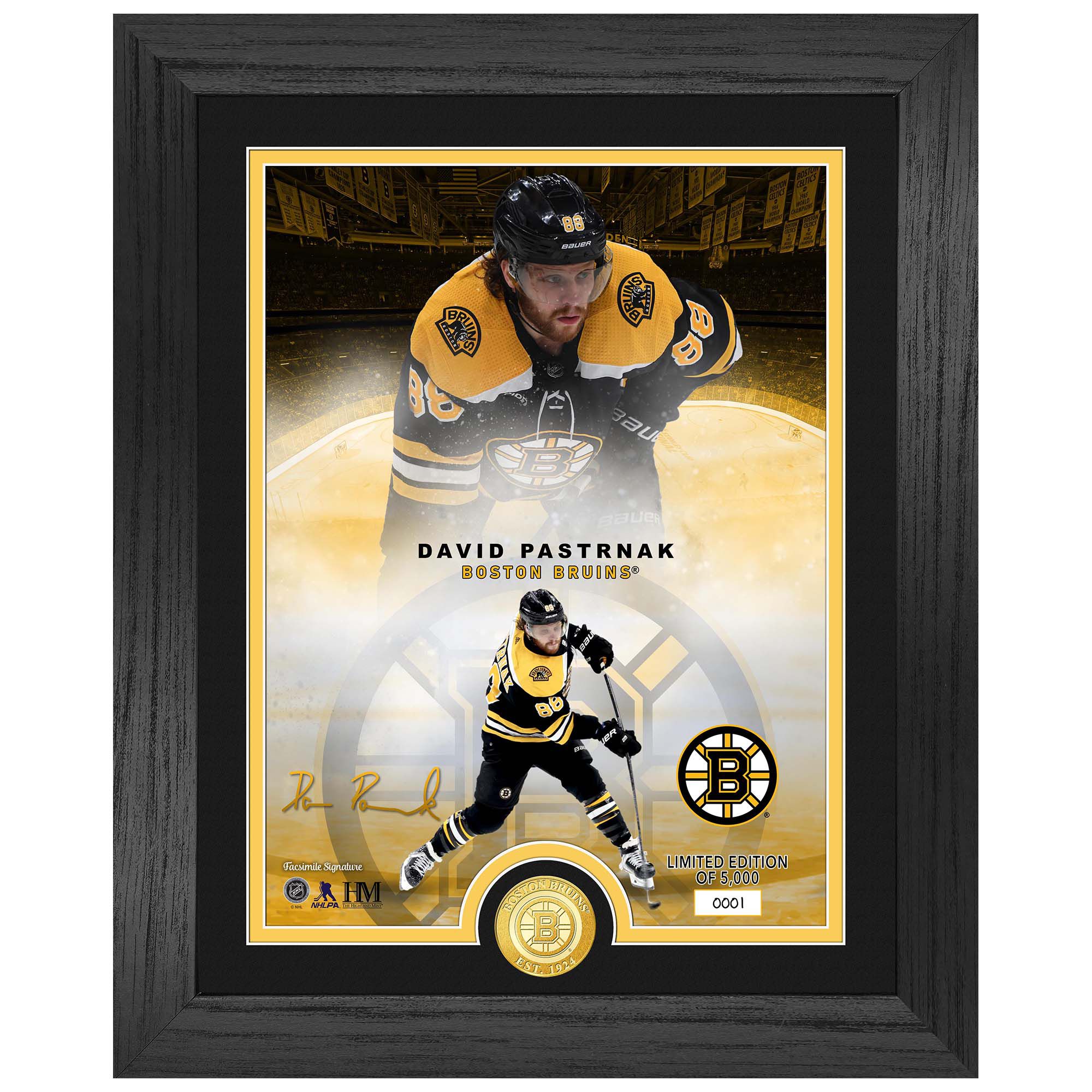 David Pastrnak Boston Bruins Bronze Coin Gerahmtes NHL Bild