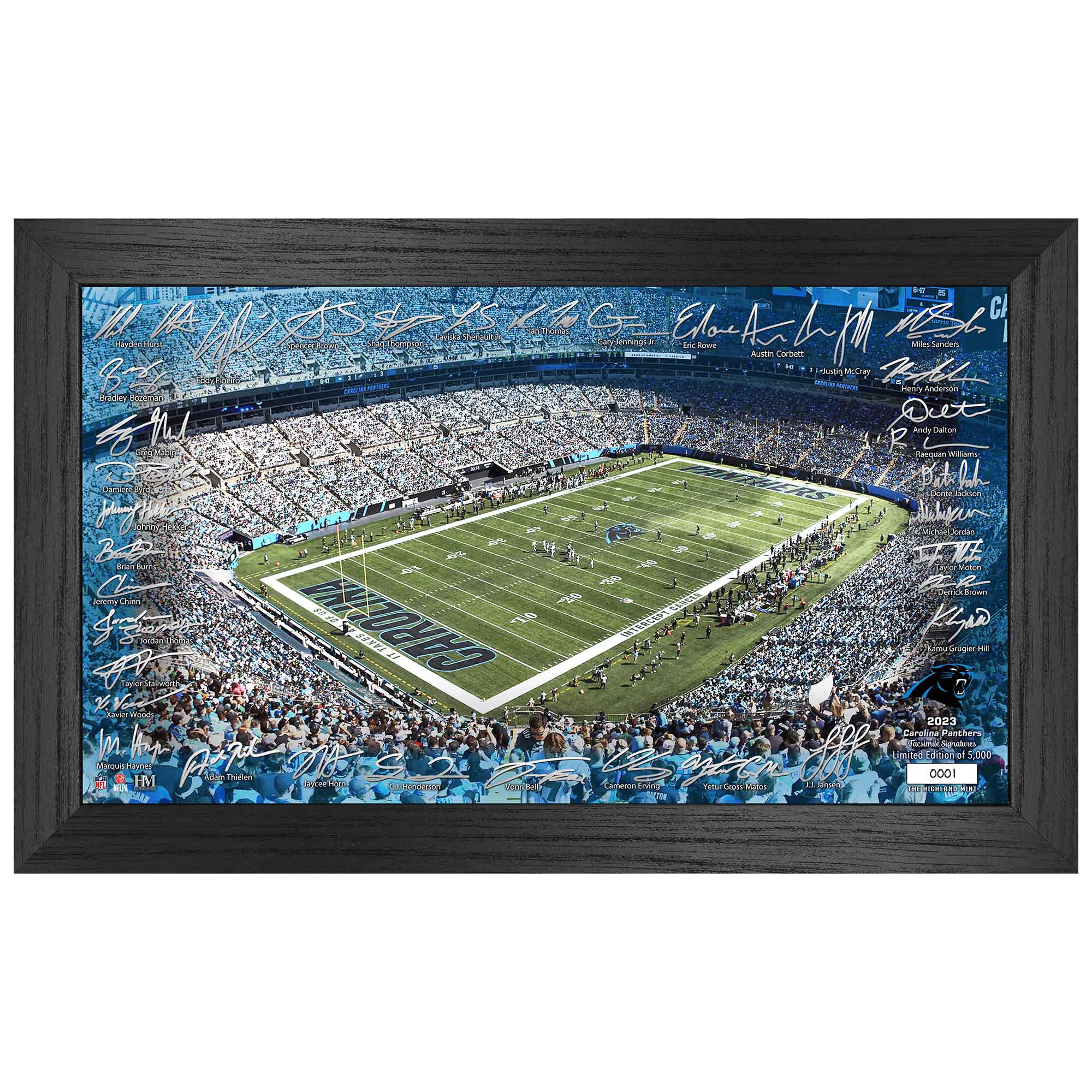Carolina Panthers 2023/24 Signature Stadium Gerahmtes NFL Bild