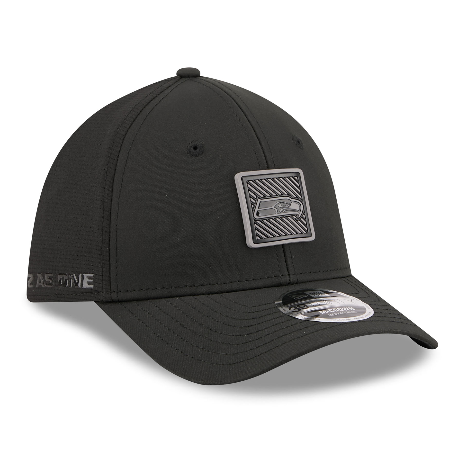 Seattle Seahawks Black 2026 NFL Training Camp 39THIRTY Flex Cap