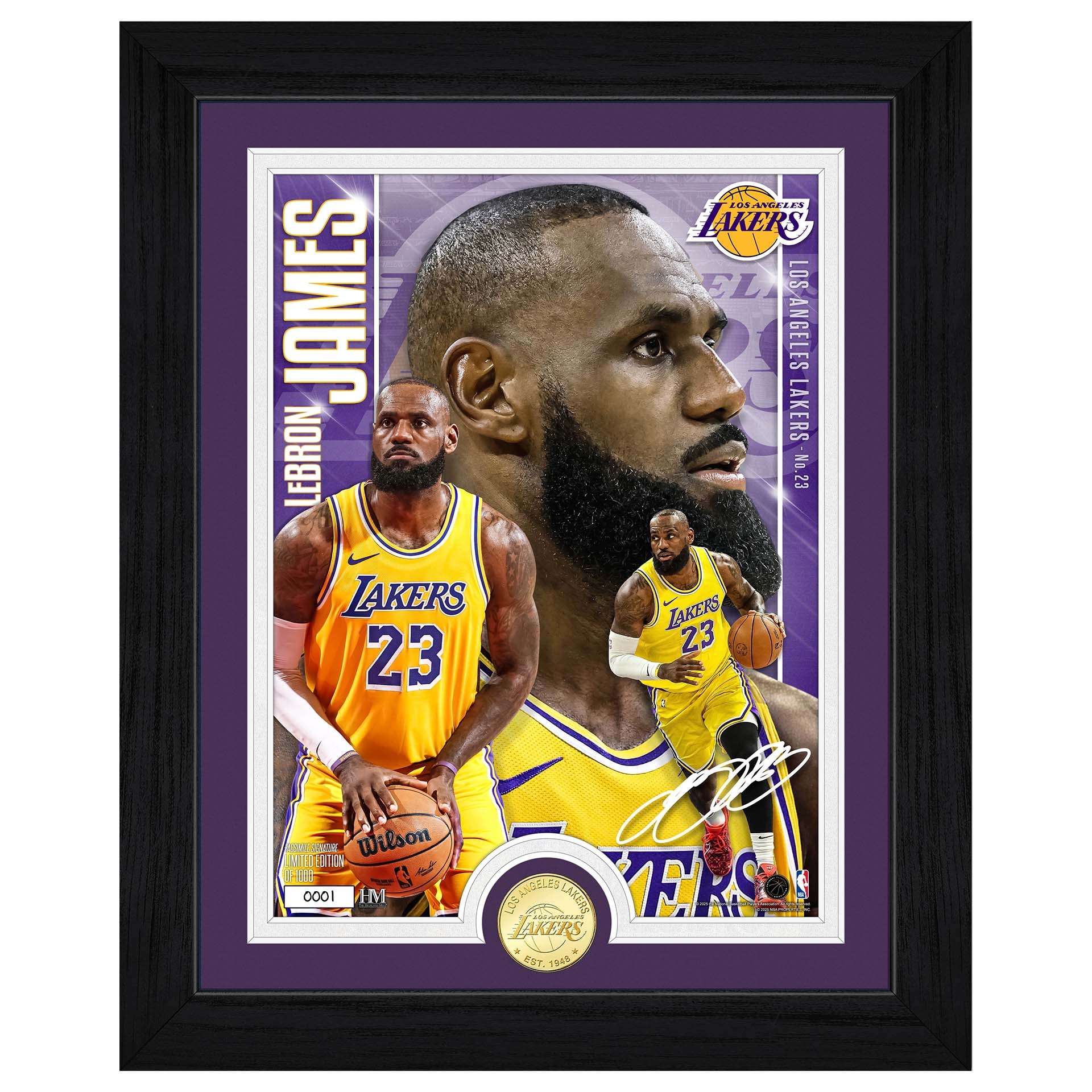 LeBron James Los Angeles Lakers Artist Proof Bronze Coin NBA Gerahmtes Bild