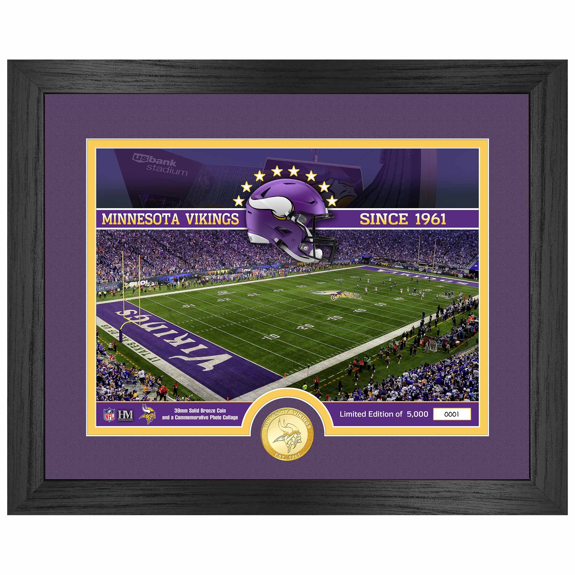Minnesota Vikings Team Stadium Bronze Coin Gerahmtes NFL Bild
