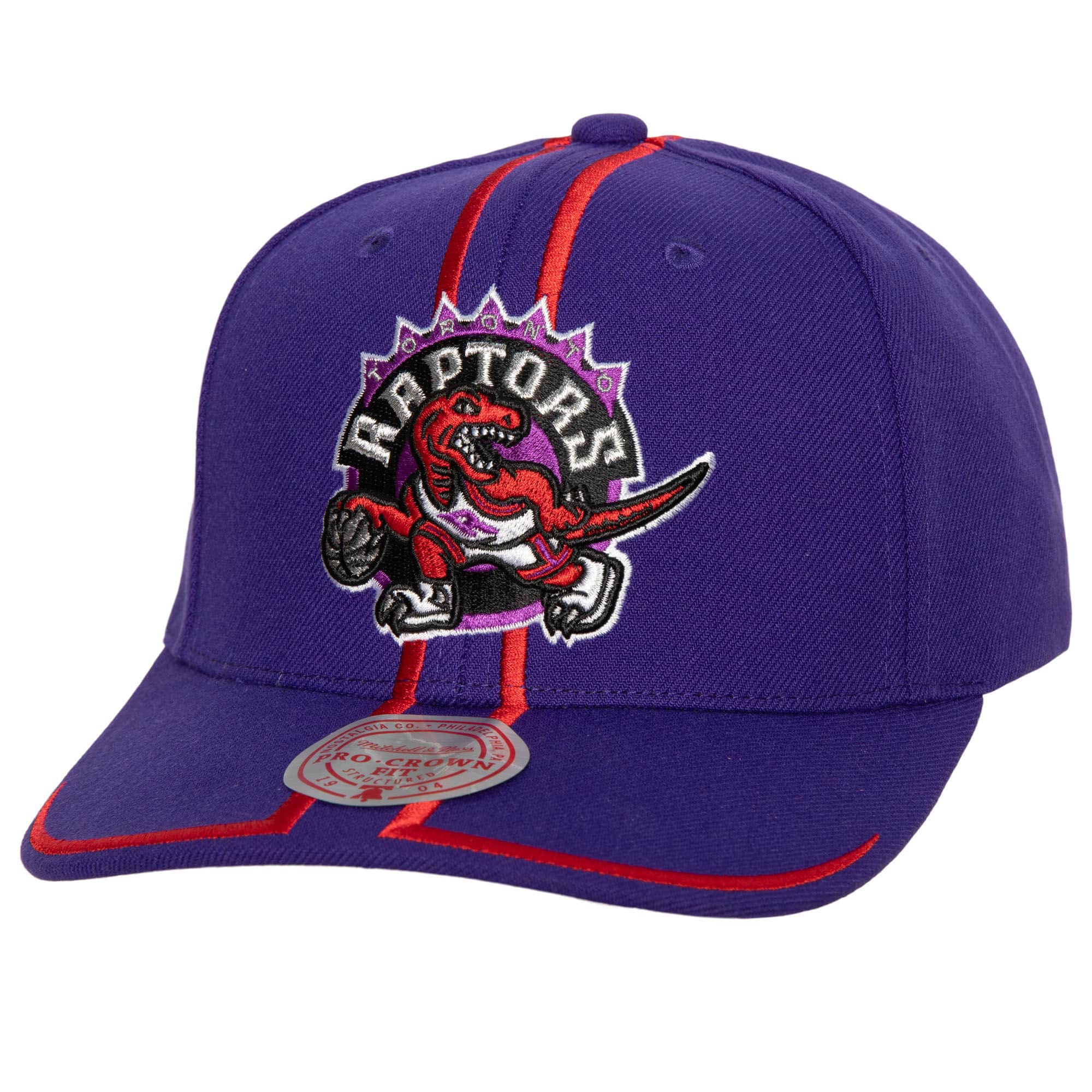Toronto Raptors 1998 NBA Draft Mitchell & Ness Pro Crown Strapback Cap