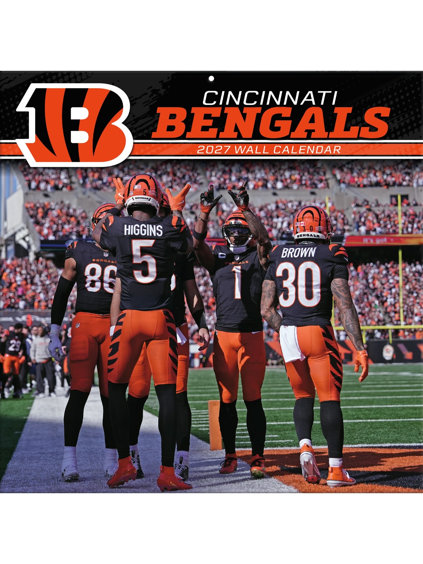 Cincinnati Bengals 2027 NFL Team Wall Calendar