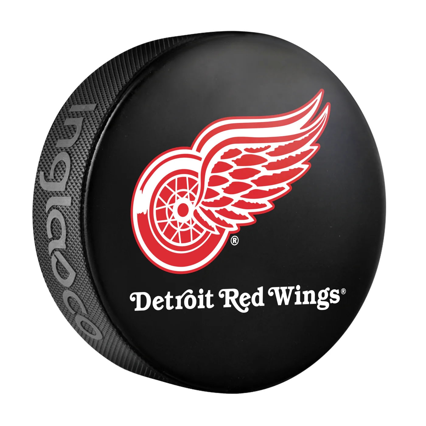 Detroit Red Wings Logo Souvenir Collector NHL Puck