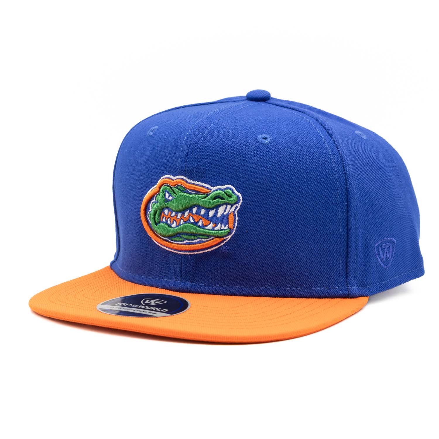 Florida Gators Victory Top of the World NCAA Snapback Cap